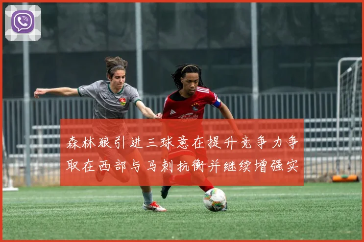 森林狼引进三球意在提升竞争力争取在西部与马刺抗衡并继续增强实力